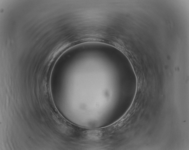 X0000076270050200610051321