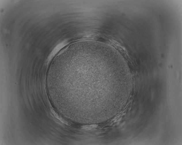 X0000076270051200610051321