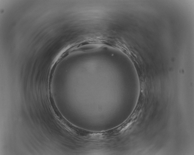 X0000076270052200610051321