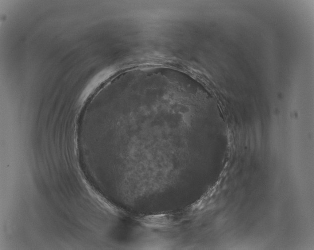 X0000076270054200610051321