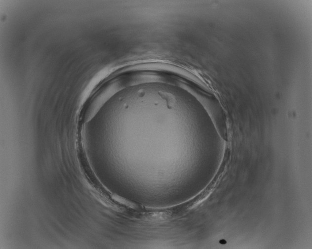 X0000076270056200610051321