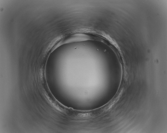 X0000076270057200610051321