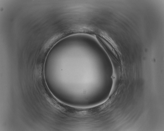 X0000076270058200610051321