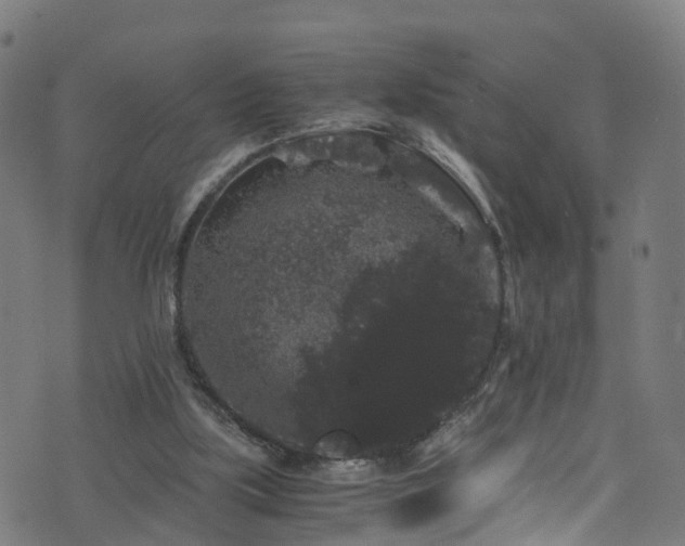 X0000076270059200610051321