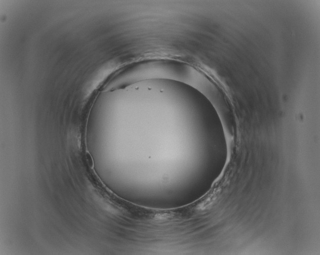 X0000076270060200610051321