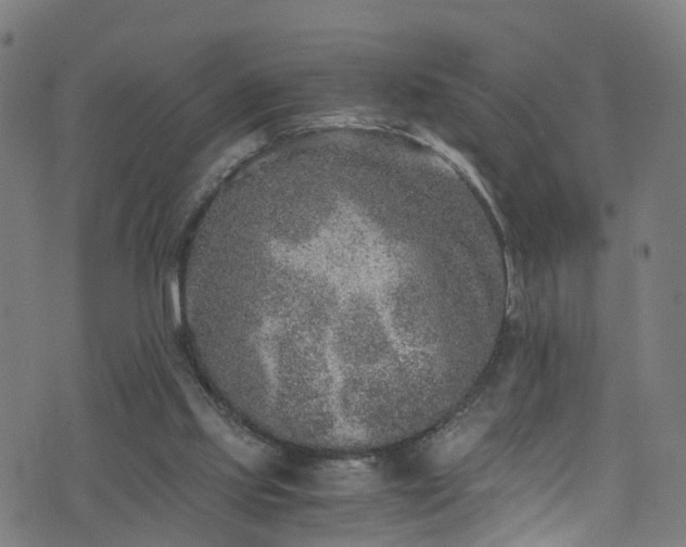 X0000076270061200610051321