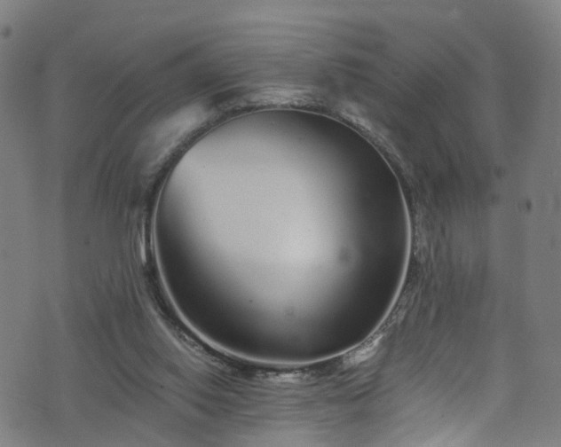 X0000076270062200610051321