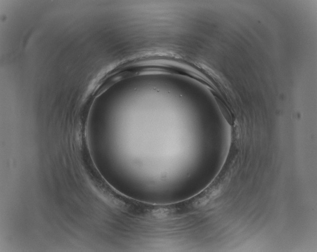 X0000076270064200610051321