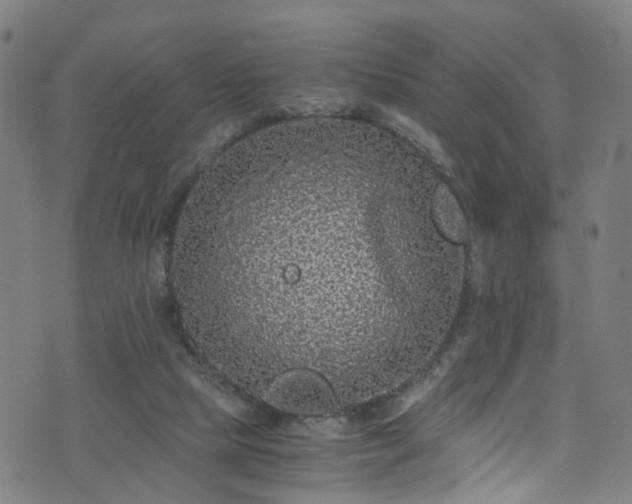 X0000076270065200610051321