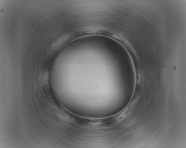 X0000076270066200610051321