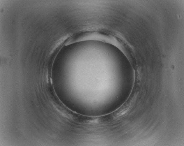 X0000076270068200610051321