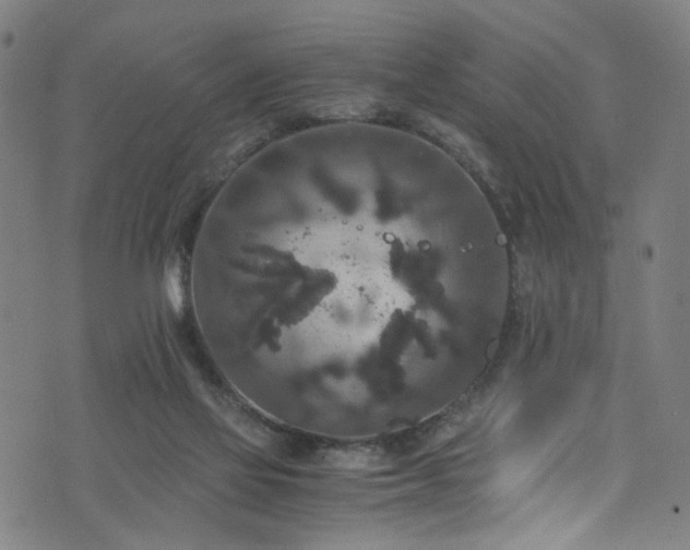 X0000076270069200610051321