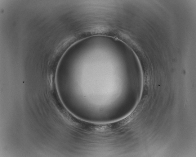 X0000076270070200610051321