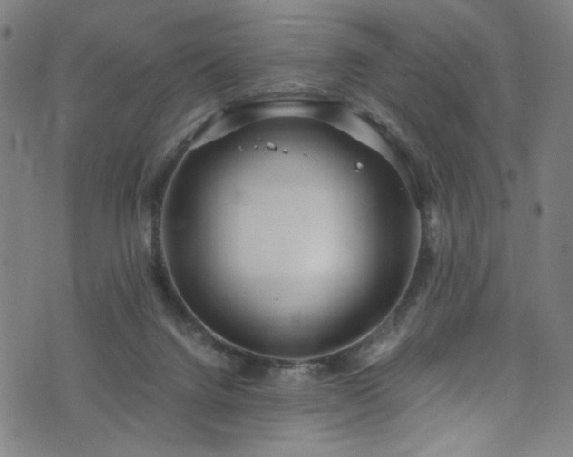 X0000076270072200610051321