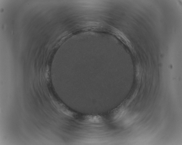 X0000076270073200610051321