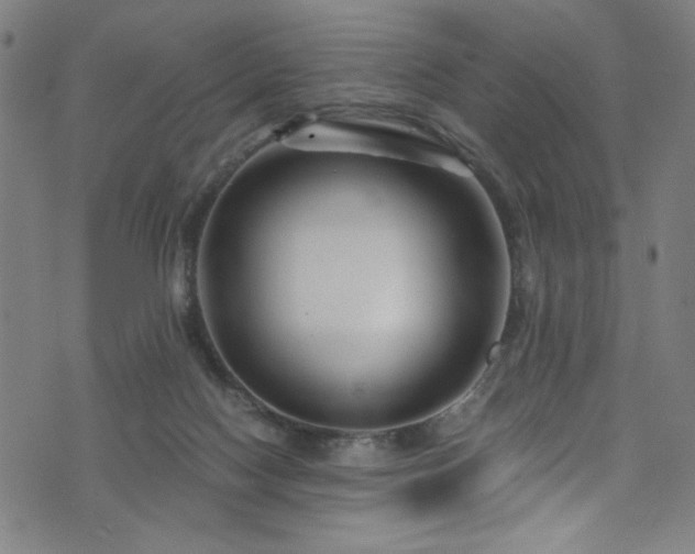 X0000076270074200610051321