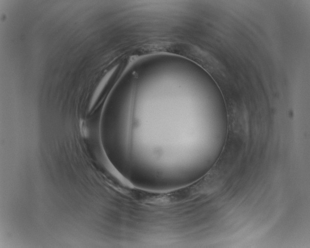 X0000076270075200610051321