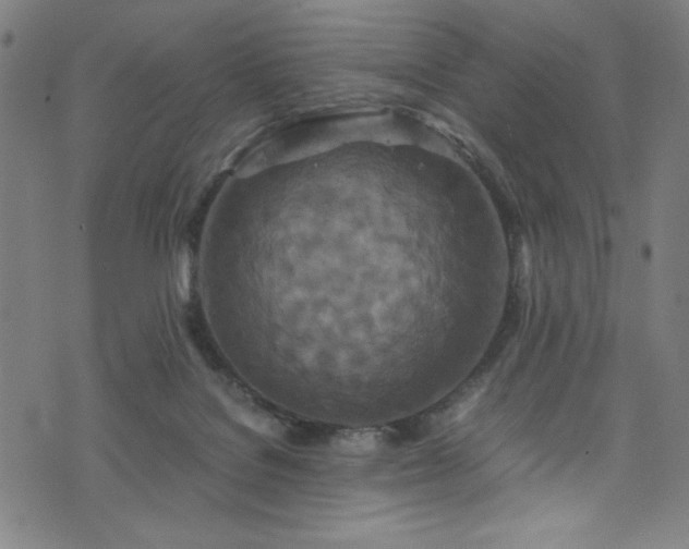 X0000076270076200610051321