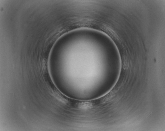 X0000076270077200610051321