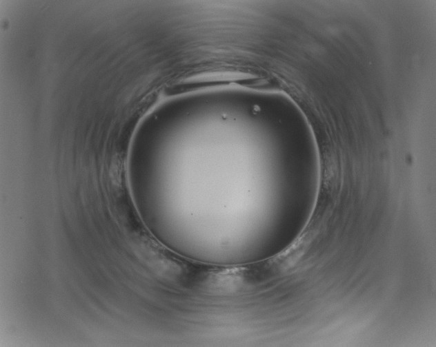 X0000076270078200610051321