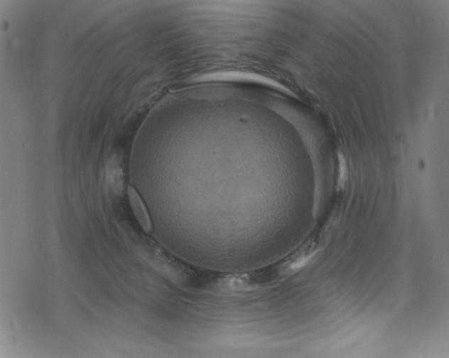 X0000076270080200610051321