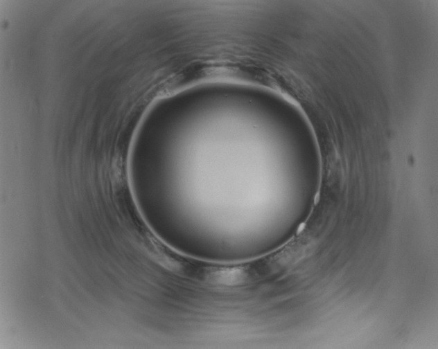 X0000076270081200610051321