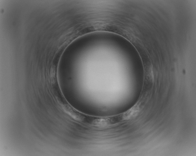 X0000076270082200610051321