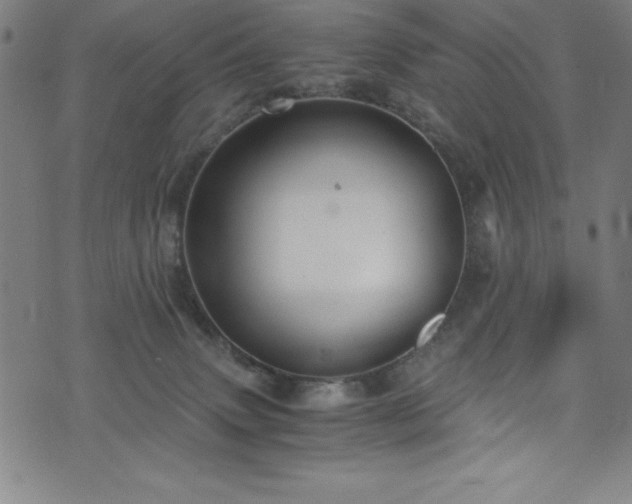 X0000076270083200610051321