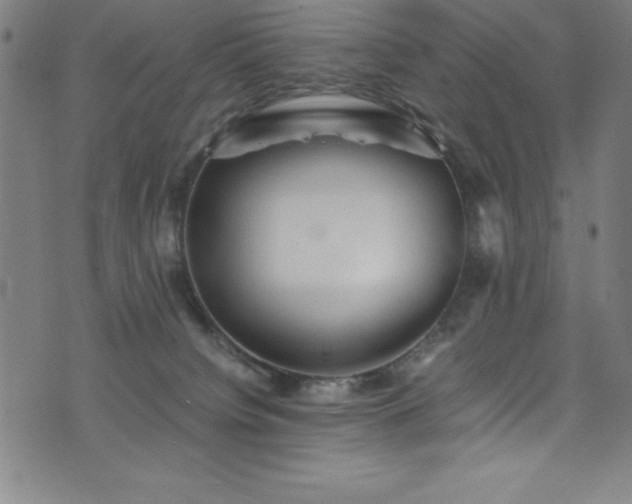 X0000076270084200610051321