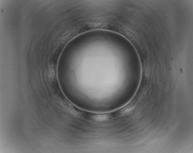 X0000076270085200610051321