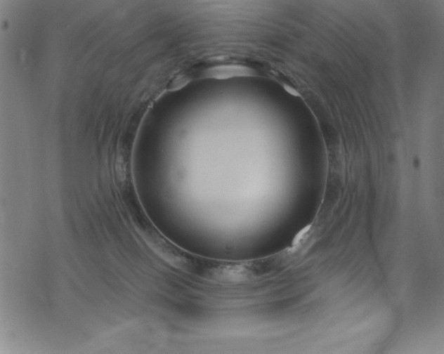 X0000076270086200610051321