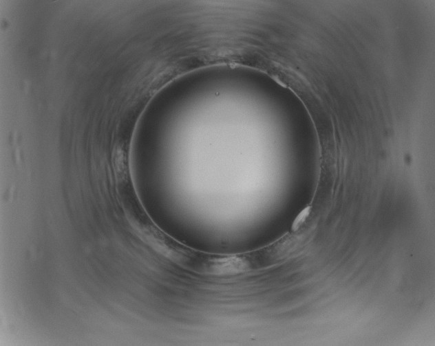 X0000076270087200610051321