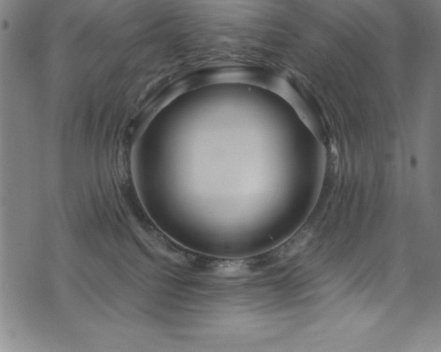 X0000076270088200610051321