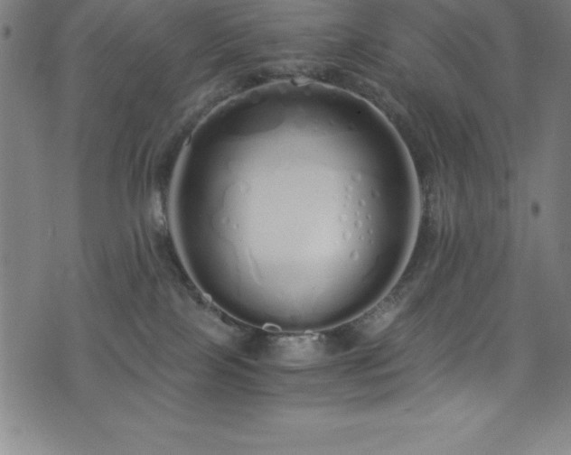 X0000076270089200610051321