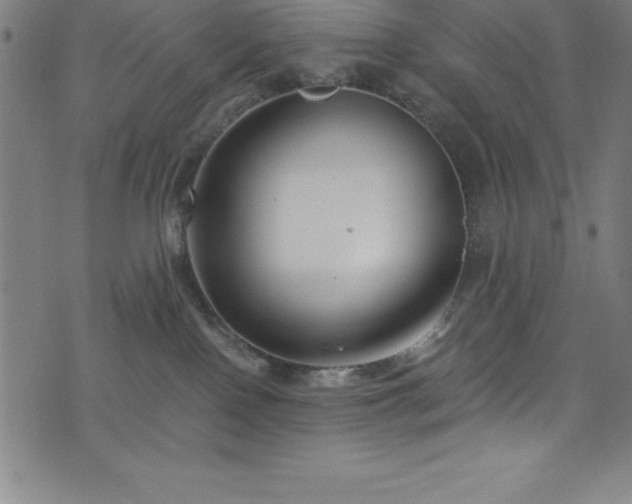 X0000076270090200610051321