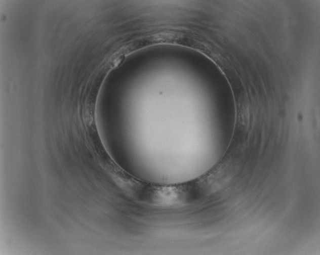 X0000076270091200610051321