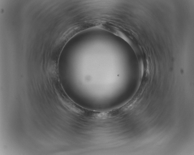 X0000076270092200610051321