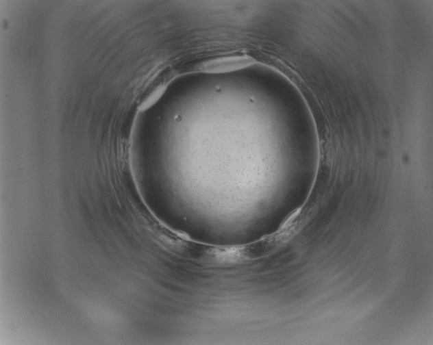 X0000076270093200610051322