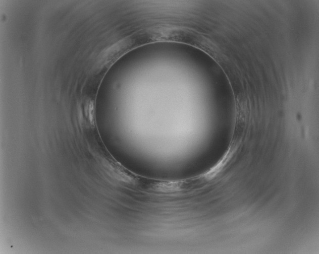 X0000076270094200610051322