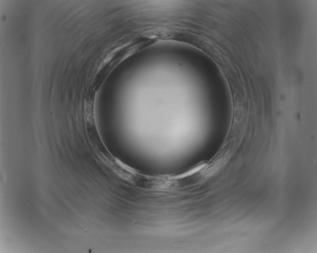 X0000076270096200610051322