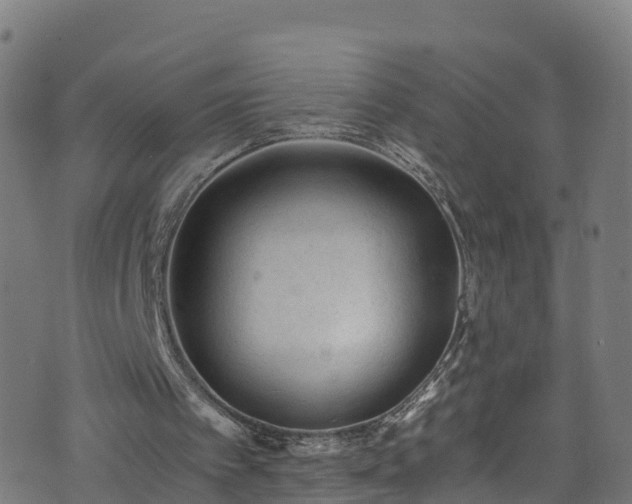 X0000076270097200610051321