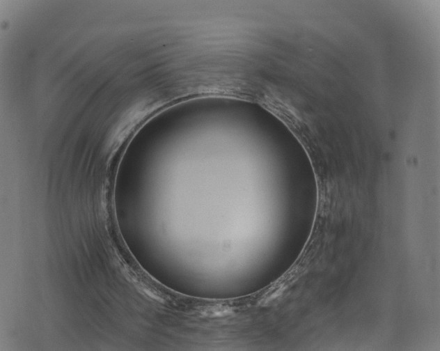 X0000076270098200610051321