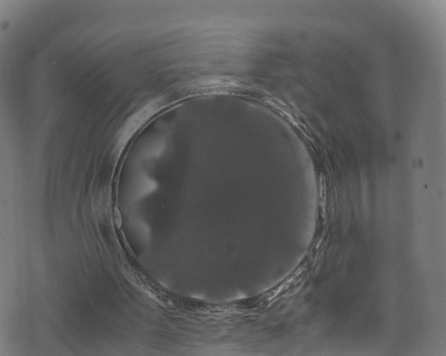 X0000076270099200610051321