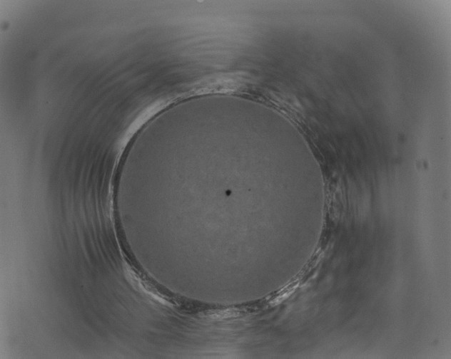 X0000076270100200610051321