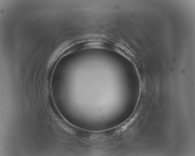 X0000076270101200610051321