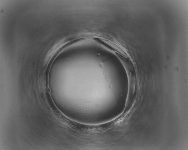 X0000076270103200610051321