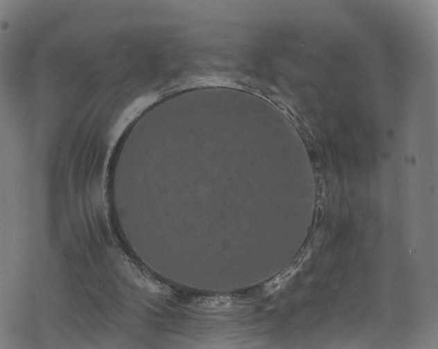 X0000076270104200610051321