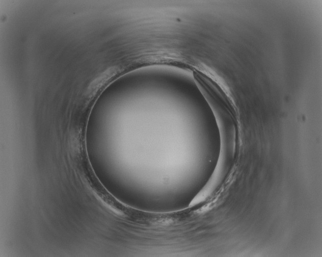 X0000076270105200610051321