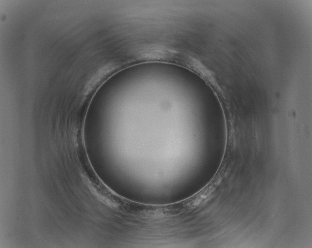 X0000076270106200610051321