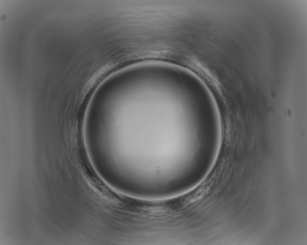 X0000076270107200610051320